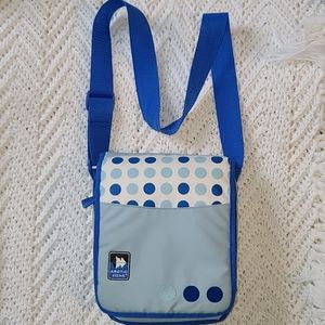 Artic Zone Lunch Bag Blue 8x10x3
